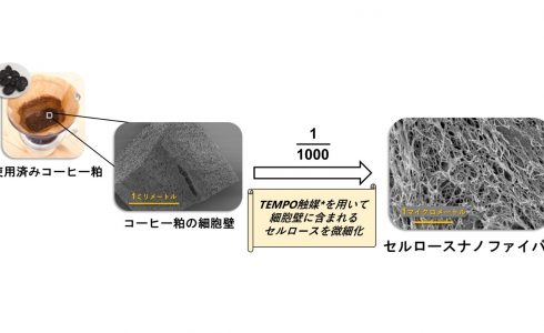 使用済みコーヒー粕からセルロースナノファイバーイメージ