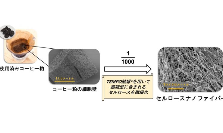 使用済みコーヒー粕からセルロースナノファイバーイメージ