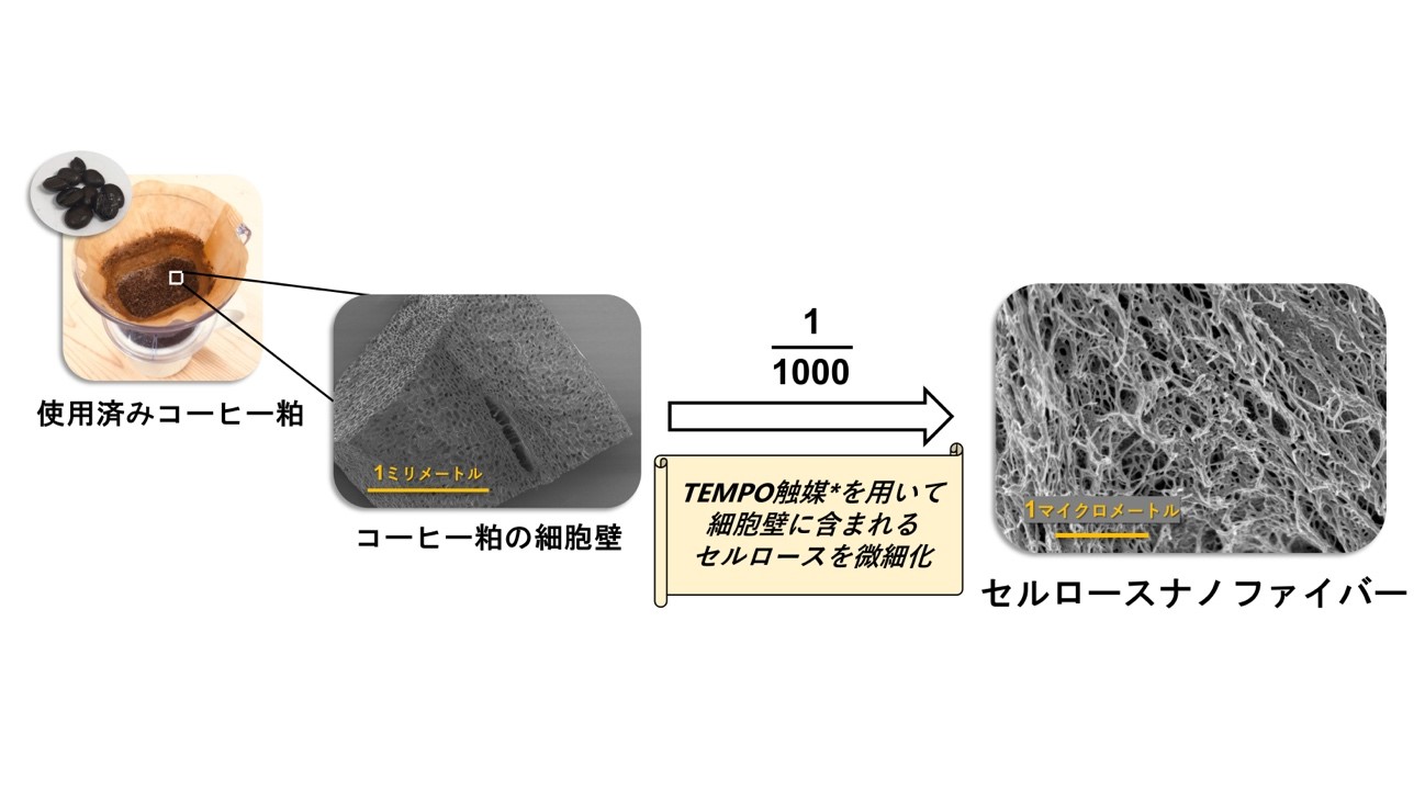 使用済みコーヒー粕からセルロースナノファイバーイメージ